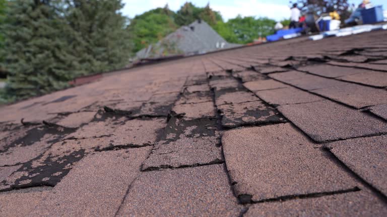 Best Sheet Metal Roofing  in Maxton, NC