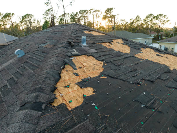 Best Steel Roofing  in Maxton, NC